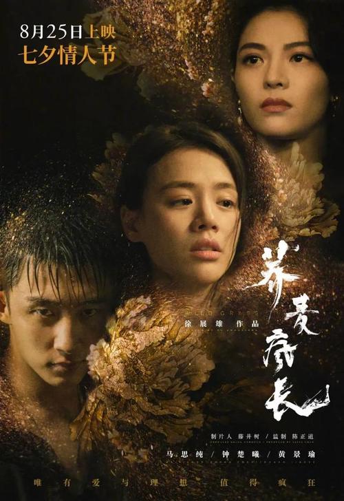 法人授权公证书